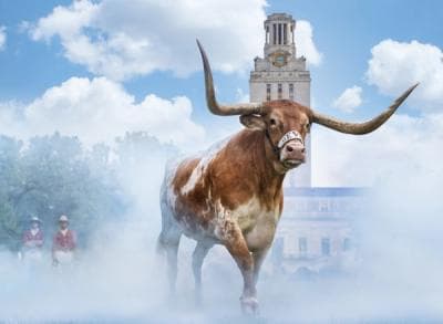 Hook 'em Horns