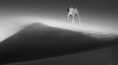 Ethereal Dune