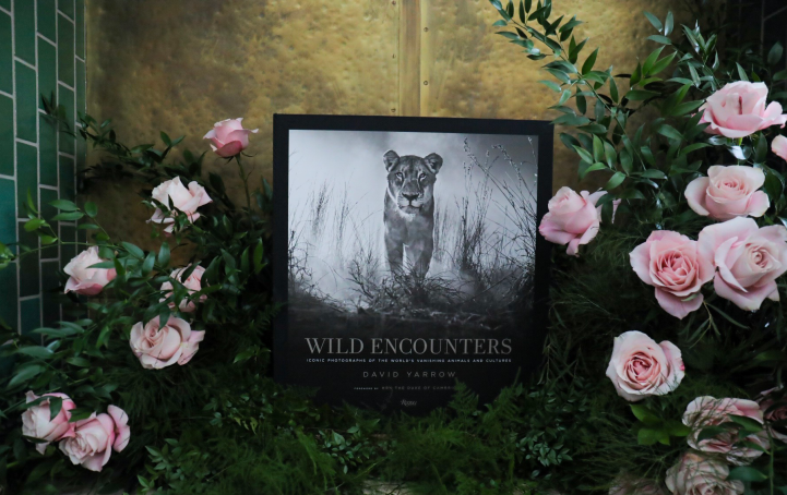 Wild Encounters Deluxe Edition