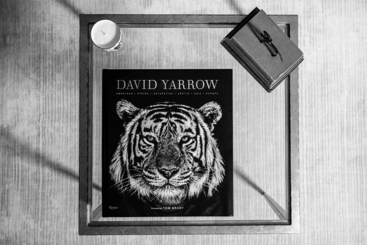 David Yarrow Stills29